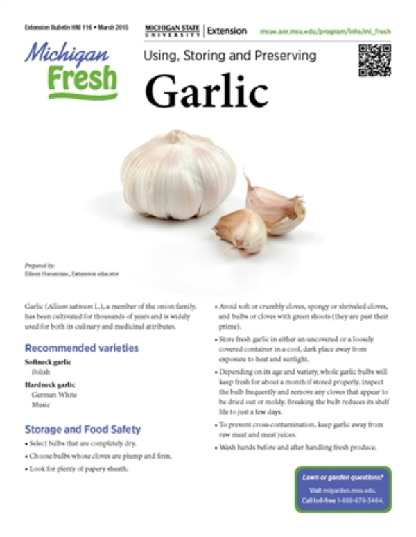 Michigan Fresh: Using, Storing, And Preserving Garlic (Hni116) - Msu  Extension