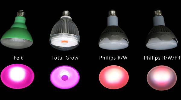 Choosing the right LEDs to regulate MSU Extension