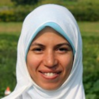 Safa Alzohairy PhD