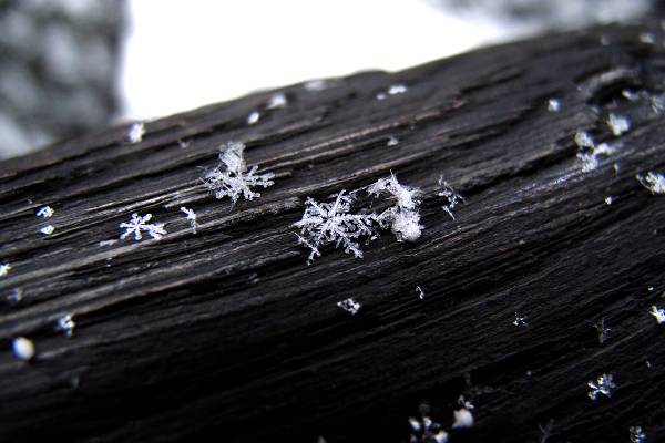 Snow science: What is a snowflake? - MSU Extension