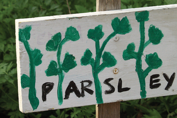 Hand painted garden sign that includes a painting of parsley sprigs and the word 