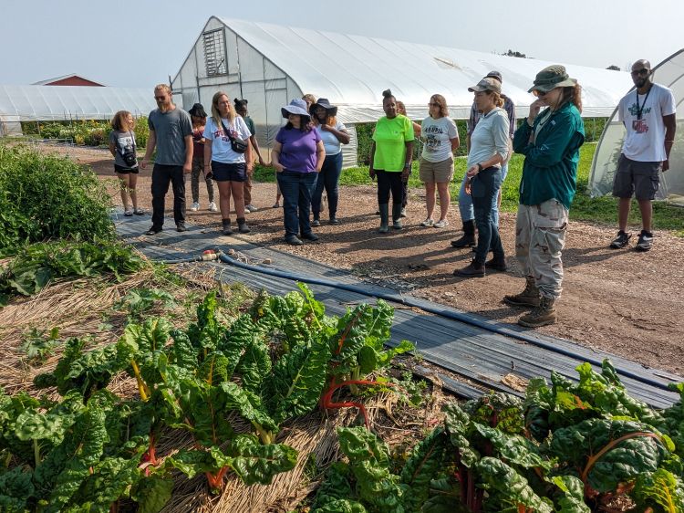 People standing in front of a vegetable crop