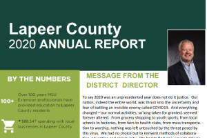 Lapeer County Annual Report: 2020