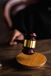 Begin The Journey Towards Parliamentary Procedure Certification - Government