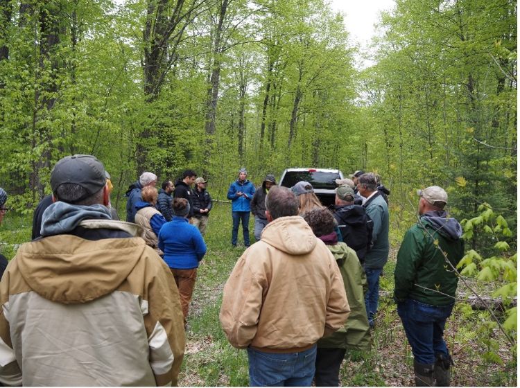 People gathered in the woods listening to a person speaking.