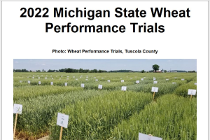 Michigan Wheat Performance Trials