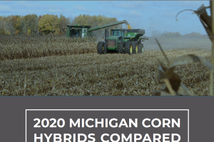 2020 State Corn Variety Trial