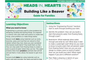 Heads In, Hearts In: Building Like a Beaver