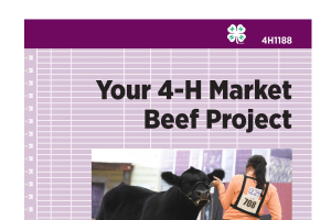 New 4-H Market Beef Project resource
