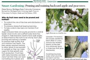 Smart Gardening Pruning And Training Backyard Apple And Pear