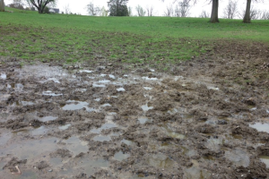 Mud, mud go away- leave me and my horses alone: Part 1