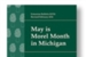 May is Morel Month in Michigan (E2755)