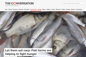 Let Them Eat Carp: Fish Farms Are Helping to Fight Hunger