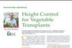 Height control for vegetable transplants
