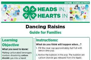 Heads In, Hearts In: Dancing Raisins