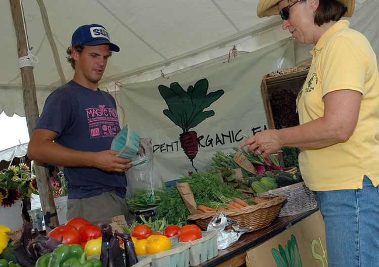 Student Organic Farm stand