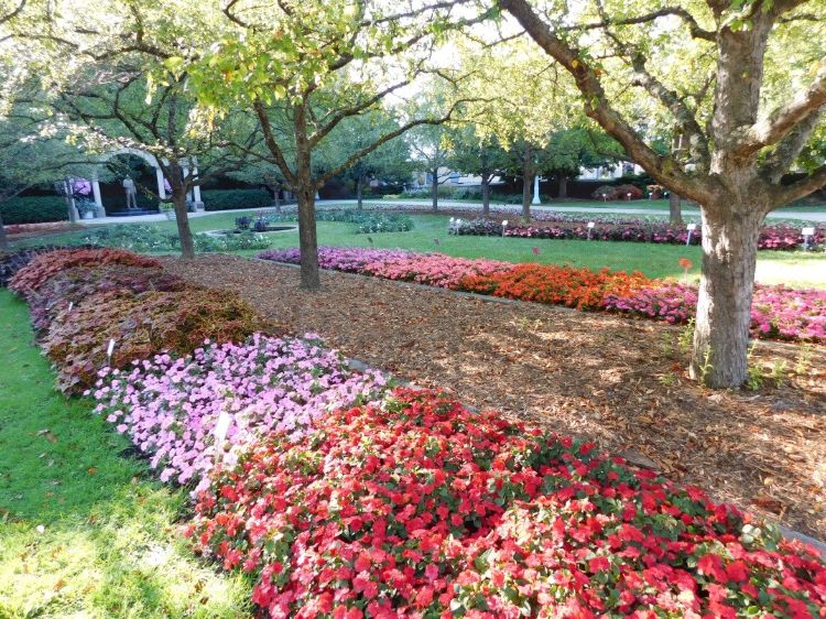 2015 MSU Trial Gardens. Photo by Daedre McGrath, MSU