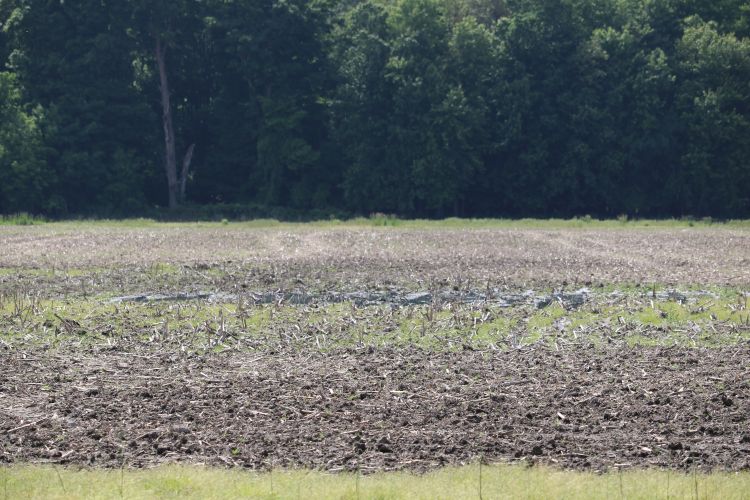 Flooding in field