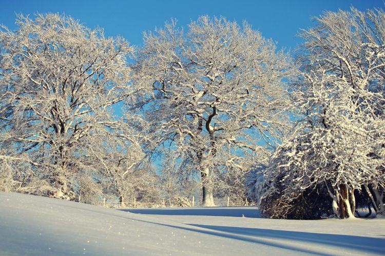 Snow is a great way to take science outside and learn more about the world around us.