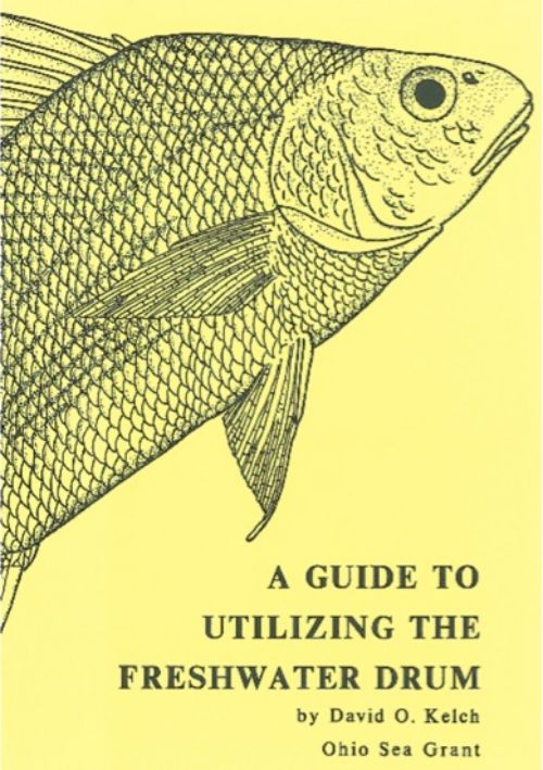 Freshwater drum are fun to catch, but can you eat them? - MSU Extension