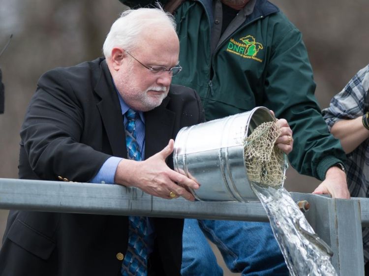 CANR Dean Fred Poston helps restock the Red Cedar with steelhead on April 15, 2013. Photo by Matt Hallowell