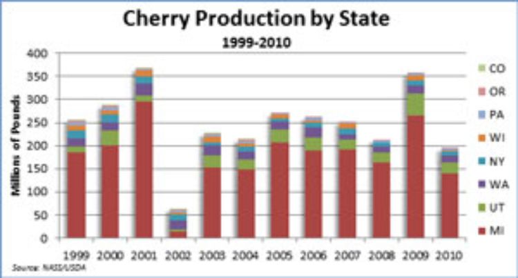 John Hoehn is studying ways to sustain the marketability of tart cherries.