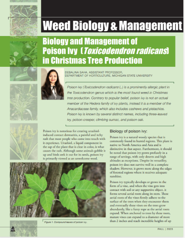 a photo of the first page of the resource.