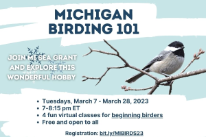 Michigan Birding 101: Equipment and how to ID Birds