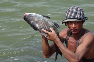Aquaculture Value Chain in Myanmar