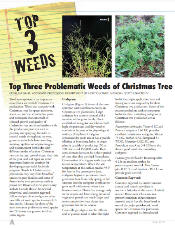 A photo of the first page of the resource.