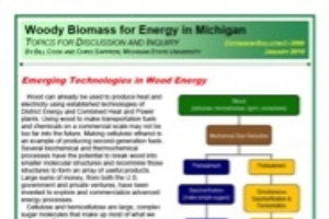 Woody Biomass for Energy in Michigan: Emerging Technologies in Wood Energy (E3090)