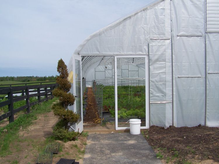 High tunnel production for cut flowers and vegetables. Photo by: MSU