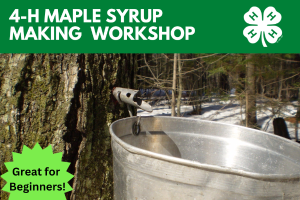 4-H Maple Syrup Making Workshop
