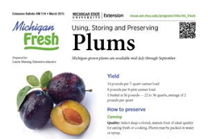 Michigan Fresh: Using, Storing, and Preserving Plums (HNI114)