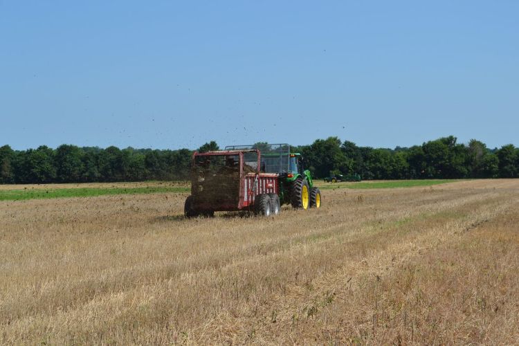 tractor in wheat field pulling a manure spreader
