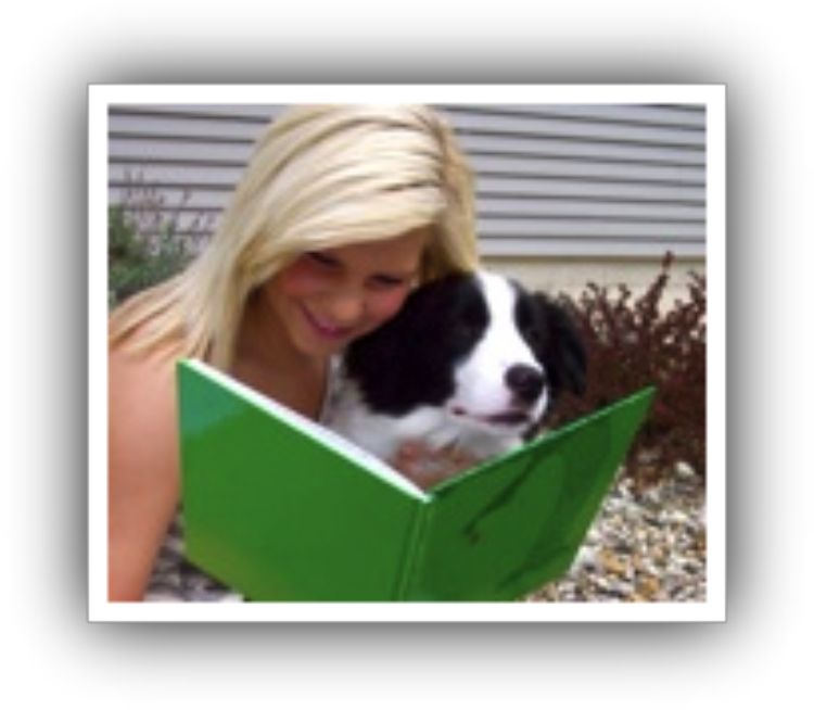 Teacher s pet 4 H teen brings dog to schools to help kids improve