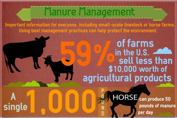 Proper manure management is important for everyone, including small-scale  livestock or horse farms - MSU Extension