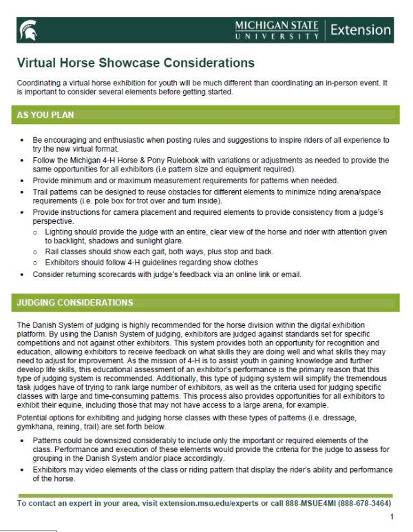 The front page of the Virtual Horse Showcase Considerations document.