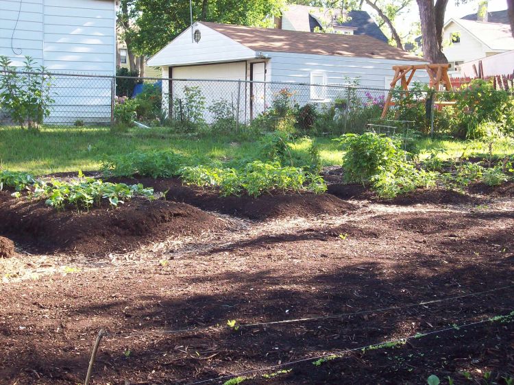 Urban garden located in Flint.