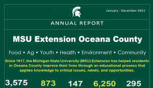 2021 Oceana County Annual Report