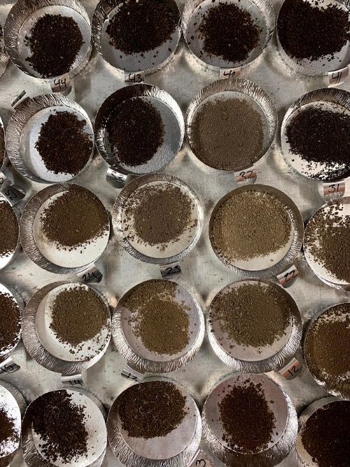 A variety of soils being prepared for drying