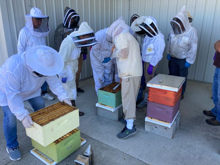 A group of people standing around an open beehive.