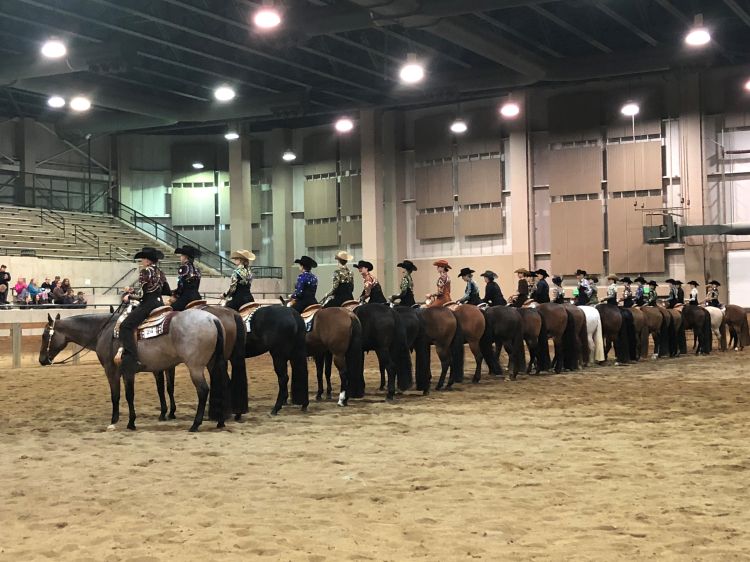 Five biosecurity tips to keep your traveling horse healthy - MSU Extension