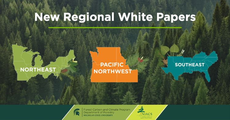 New Regional White Papers: Northeast US, Pacific Northwest US, and Southeast US