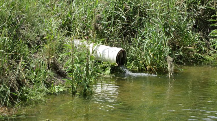 Sewage pipe leading to water source.