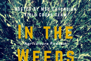 In the Weeds podcast on farm financial decisions