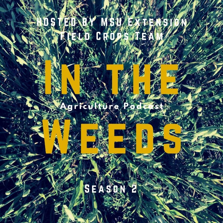 In the Weeds promo graphic
