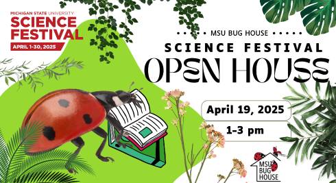 A large ladybug reads an open book next to text that says 