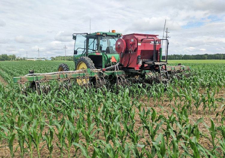 Cover crop field.jpg