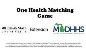 One Health Matching Game